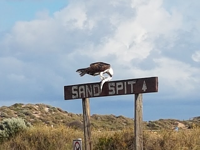 Kalbarri