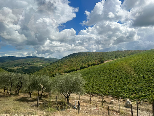 Get Tours | Tours and Car Service with Private Driver in Tuscany - Thumbnail