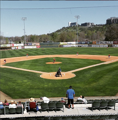 Medford Rogues Baseball Club