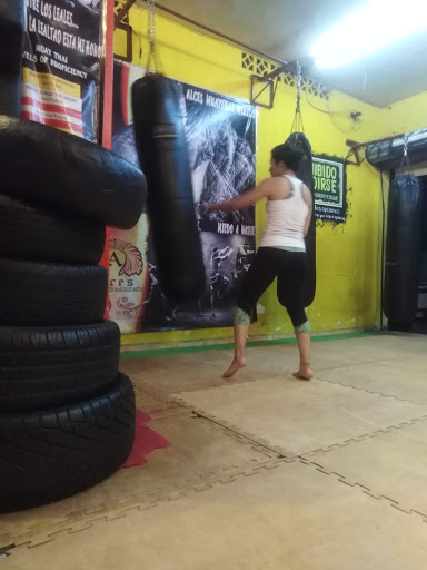 Alces Muay thai México - Thumbnail