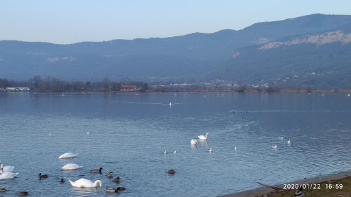 Photo de Marpa le jardin des courtanes à Serrières-en-Chautagne (73310)