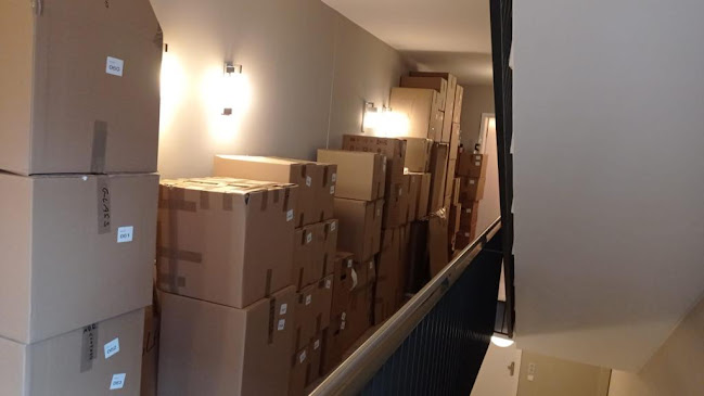 Numer telefony do TRANSPORT MOVING SYSTEM