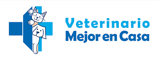 Servicio Veterinario a Domicilio 24H, Veterinaria en Casa, Dogtor Animal, PET CARE - Thumbnail