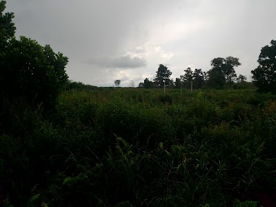 photo of Monumen Rumput Hijau