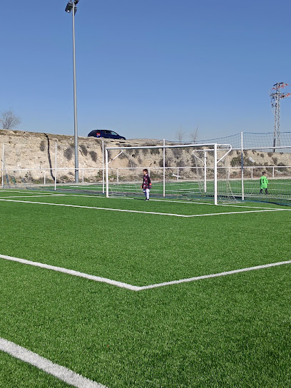 campo-de-futbol-penuelas