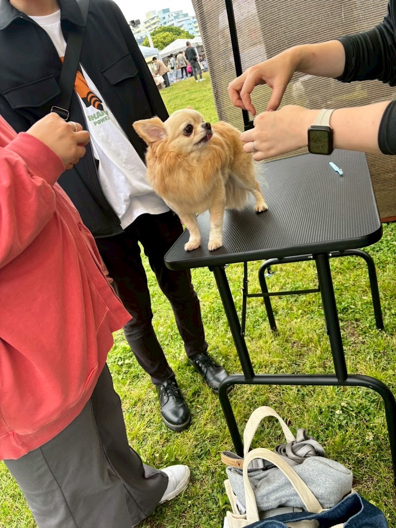 LIV DOG Training & Care