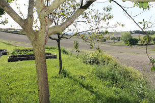 Photo n°16 de Carmagnac à Vaux-Lavalette (Agence de location de maisons de vacances)