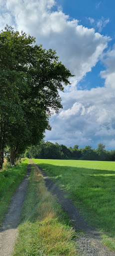 Förderkreis Hollicher Mühle e.V. Gallery - Germany