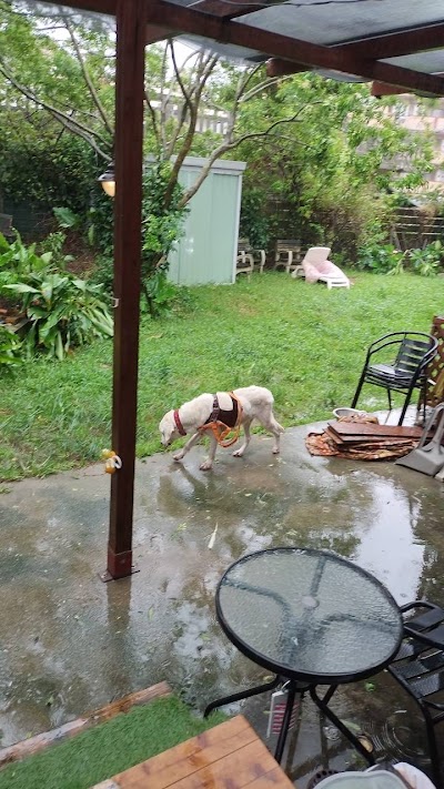 ドッグサロン犬遊所コリン