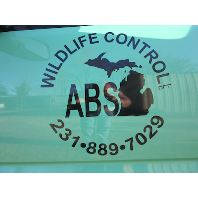 Photos of A.B.S. Wildlife Control