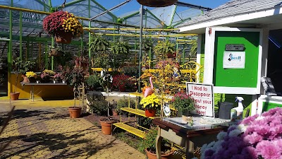 Dutch & Olgas Greenhouse