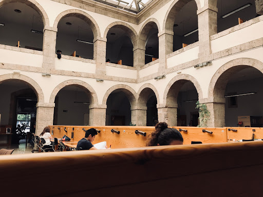 Reina Sofía Library - Thumbnail