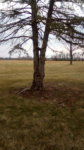Cedar Terrace Park - Thumbnail