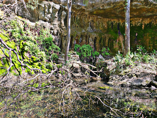 Orion Falls - Visual