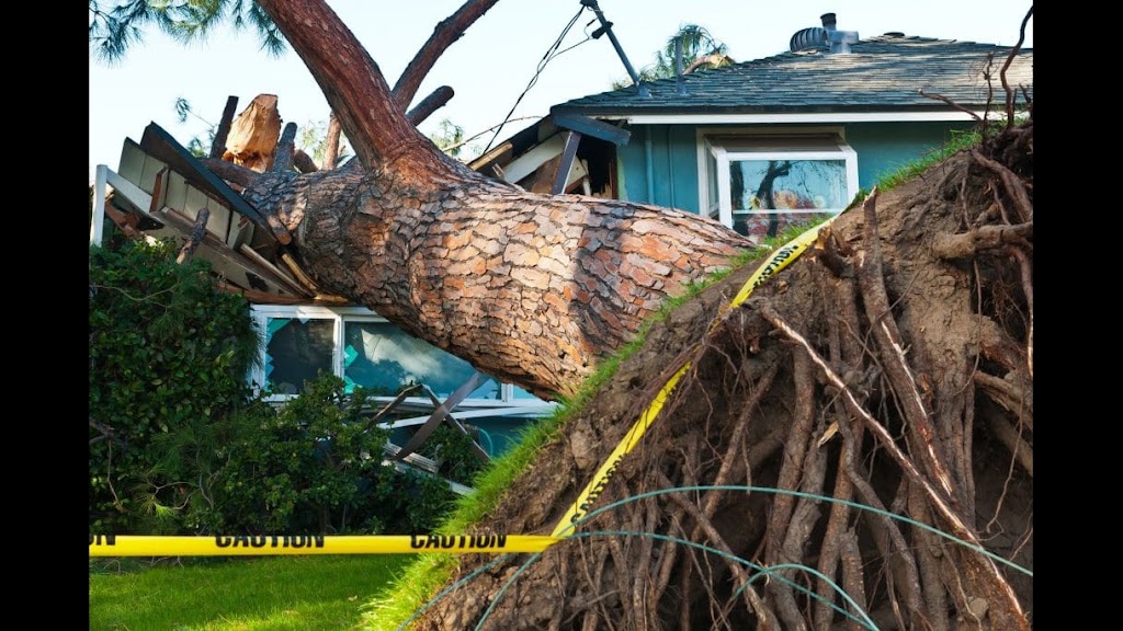 Disaster Cleanup Services photo