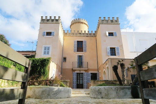Col·lecció Museogràfica Fundació Cosme Bauçà