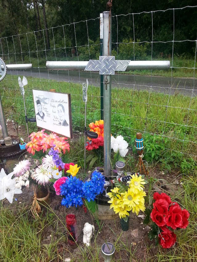 Rainbow Springs State Park Tube Rentals