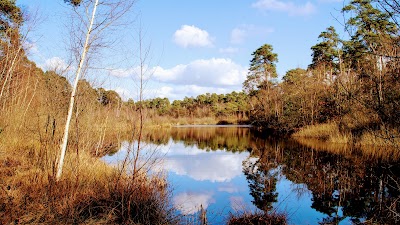 Oisterwijk