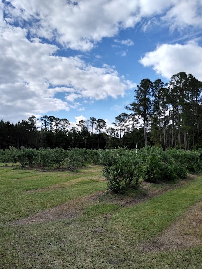 Wacahoota Farms