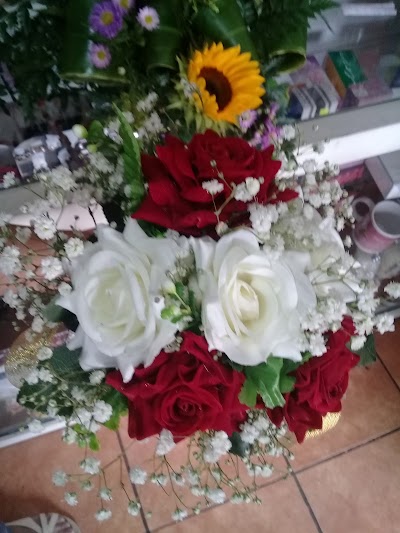 Photos of Floristeria Mis D" LIRIOS