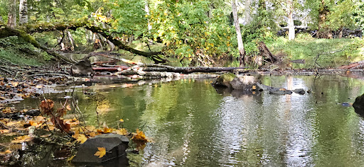 Creek Trail - Thumbnail
