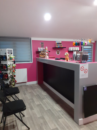 Salon de toilettage Bel K'Ouaf - Thumbnail