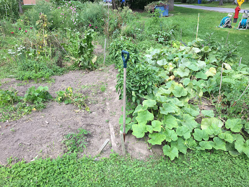 McGill Macdonald Garden - Thumbnail