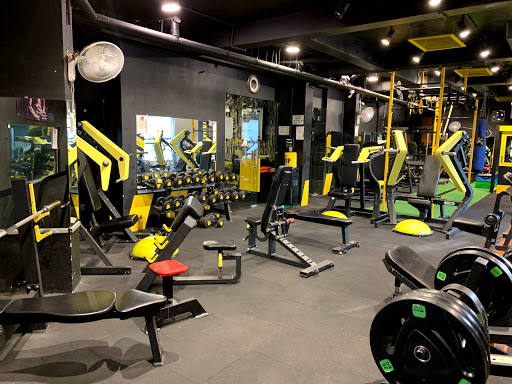 ZAPY Cut'n'Curve Platinum Branch