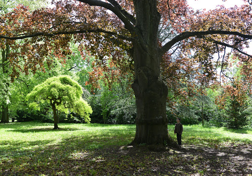 Jardin botanique de Metz
