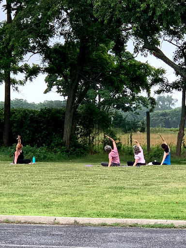 Evolution Yoga - Visual