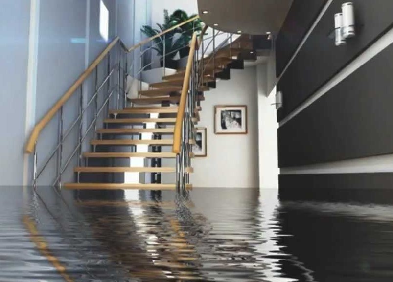 Northern Restoration Services, Inc. photo