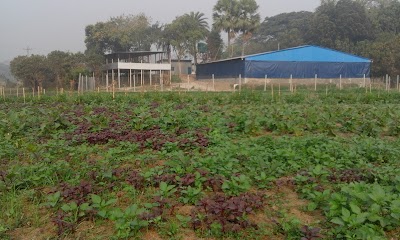 Photos of Alif Lum Mim Agro, Nawabganj