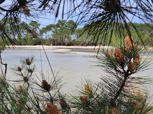 Photo n°68 de Camping Le Langeot à Sanguinet (Piscine)