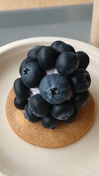 キニナル KININAL 魚津埋没林博物館店