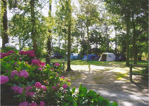 Photo n°22 de Camping International du Golf à Le Tréport (Terrain pour camping-cars)