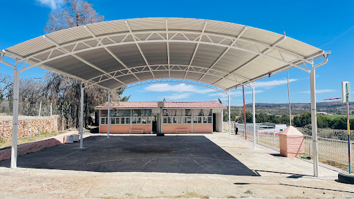 Primaria - Visual