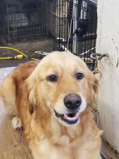 Dog House Grooming Shop