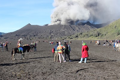 Photos of WISATA BROMO SUNRISE