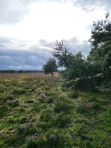 Stal de Koekamp - Thumbnail