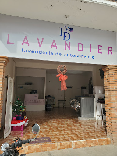 Lavandier - Visual