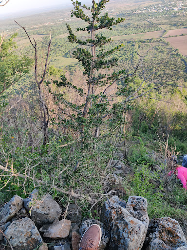 Cerro de Burgos - Thumbnail