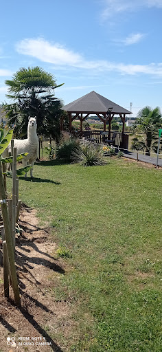 Photo de chambre hote les ormeaux à Saint-Georges-des-Coteaux (17810)
