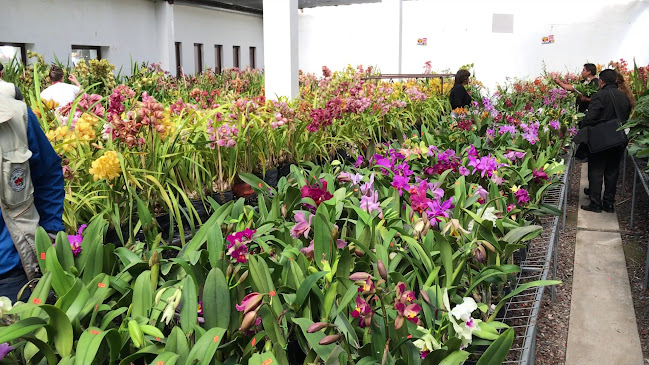 Ecuagenera Orquídeas - Cumbaya - Quito