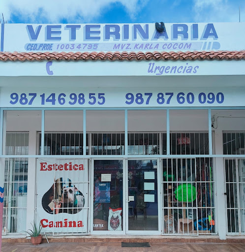 Laak'tsil Clínica Veterinaria