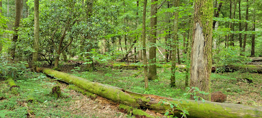 Smokey mountains state park Gallery - United States