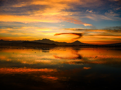 Humedales Tláhuac