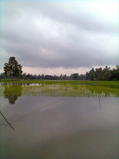 Photos of Chorhoripur West, চরহরিপুর পশ্চিমপাড়া