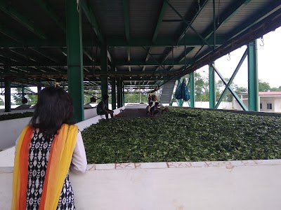 Photos of Lalchand Tea Estate