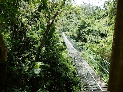 Photos of South Shore Canopy Zipline
