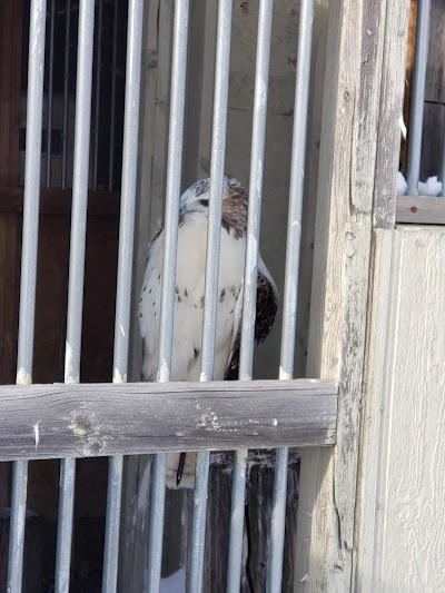 Montana Raptor Conservation Center